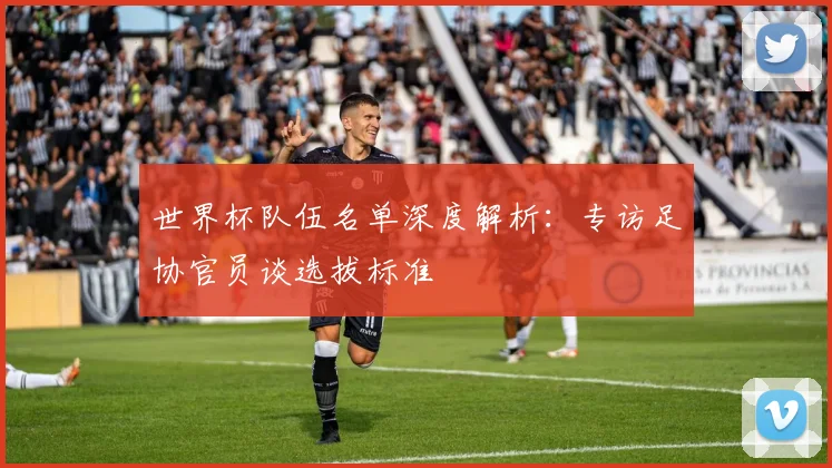 世界杯队伍名单深度解析：专访足协官员谈选拔标准