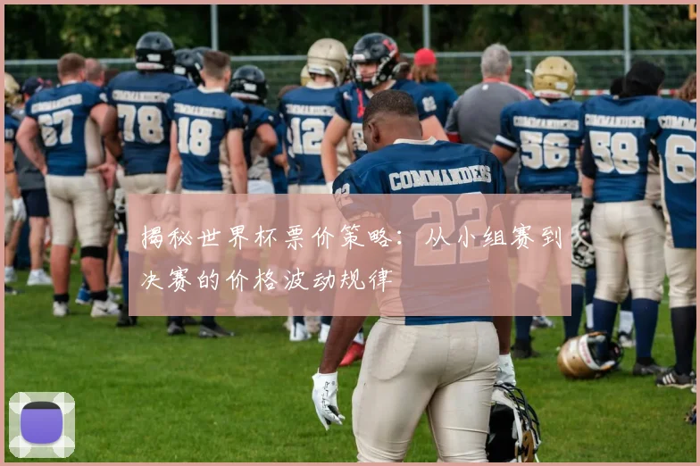 揭秘世界杯票价策略：从小组赛到决赛的价格波动规律