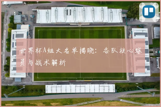 世界杯A组大名单揭晓：各队核心球员与战术解析