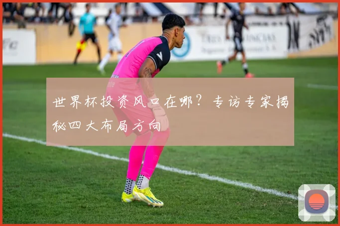 世界杯投资风口在哪？专访专家揭秘四大布局方向