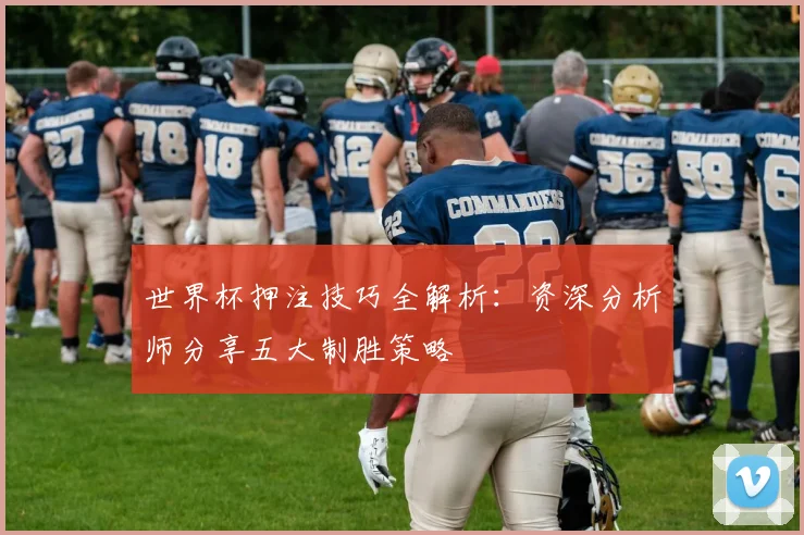 世界杯押注技巧全解析：资深分析师分享五大制胜策略